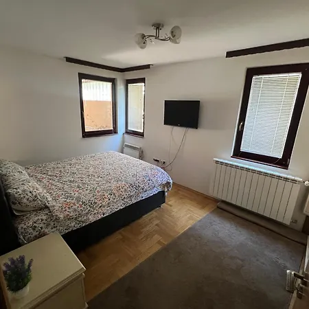Old Linden House 公寓 塞拉耶佛